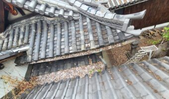 屋根雨樋落ち葉除去作業