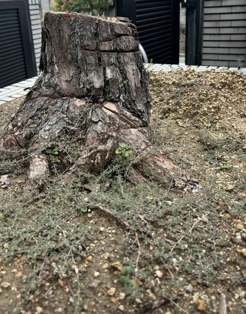 施工実績