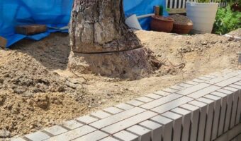 庭に残った木の根の除去依頼